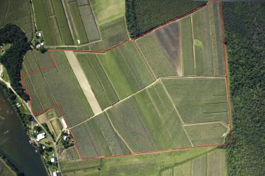 Farm Sold - QLD - Deeral - 4871 - Farm Land 2 Titles - 130 Acres Mulgrave Valley  (Image 2)