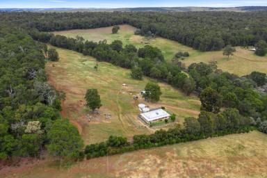 Farm Sold - WA - Wellington Mill - 6236 - THE VICINITY OF TRANQUILITY IN WELLINGTON MILL / FERGUSON  (Image 2)