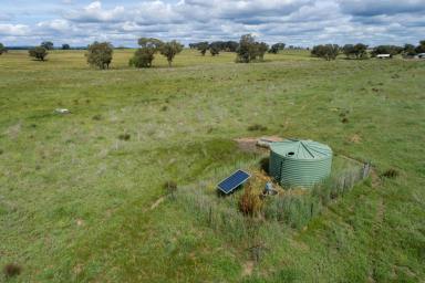 Farm Sold - NSW - Yeoval - 2868 - Looking to be self sufficient  (Image 2)