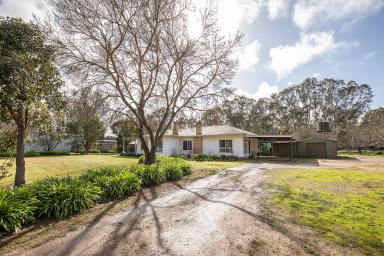 Farm Sold - VIC - Kadnook - 3318 - Tall trees encompass this timber-framed home creating a peaceful setting  (Image 2)