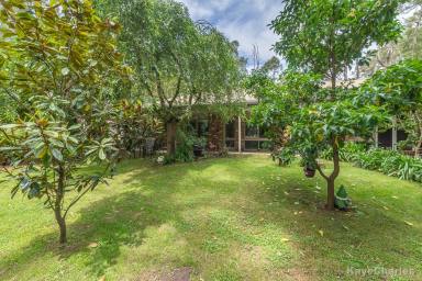 Farm For Sale - VIC - Cockatoo - 3781 - A Picture Perfect Hideaway on Over 5 Acres  (Image 2)