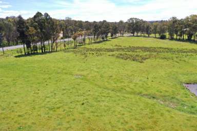 Farm Sold - VIC - Sarsfield - 3875 - Vacant Farmlet, Ready to build on!  (Image 2)