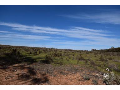 Farm Sold - SA - Cambrai - 5353 - An Ideal Family Lifestyle Property for All to Enjoy  (Image 2)