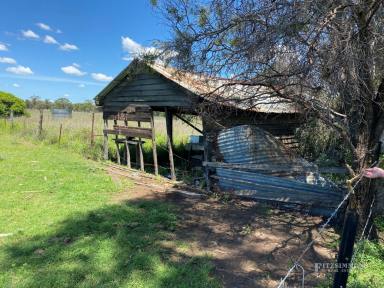 Farm Sold - QLD - Jandowae - 4410 - Rural setting 5027m2 vacant allotment with minutes to Jandowae  (Image 2)