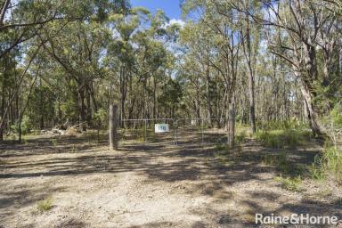 Farm Sold - NSW - Brayton - 2579 - Wooded Wonderland!  (Image 2)