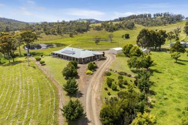 Farm Sold - TAS - Copping - 7174 - Relaxed country lifestyle. "Home on the range"  25 mins from Hobart airport  (Image 2)