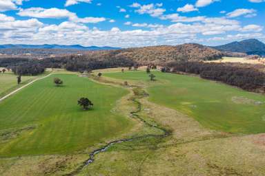 Farm Sold - NSW - Glen Elgin - 2370 - Rockdale New England Eastern Fall Breeding & Fattening  (Image 2)