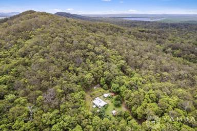 Farm Sold - QLD - Wolvi - 4570 - Your New Country Life Starts Here!  (Image 2)