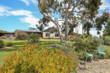 Farm Sold - VIC - Lismore - 3324 - Live the Lifestyle you've been Longing for!  (Image 2)
