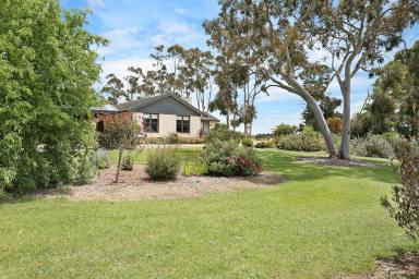 Farm Sold - VIC - Lismore - 3324 - Live the Lifestyle you've been Longing for!  (Image 2)