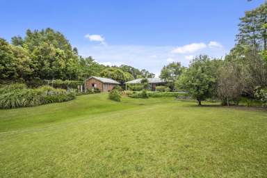 Farm Sold - NSW - Bonville - 2450 - BONVILLE LIFESTYLE LIVING  (Image 2)