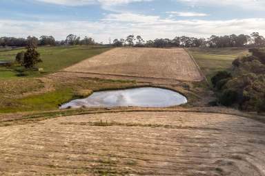 Farm Sold - SA - Hahndorf - 5245 - Exceptionally positioned 20acre lifestyle property  (Image 2)