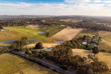 Farm Sold - SA - Hahndorf - 5245 - Exceptionally positioned 20acre lifestyle property  (Image 2)