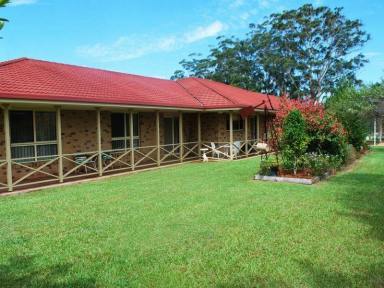 Farm Sold - NSW - Bonville - 2450 - Searching for a Bonville Address, Well Here It Is!  (Image 2)