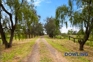 Farm Sold - NSW - Williamtown - 2318 - POPULAR LARGE ACREAGE!  (Image 2)