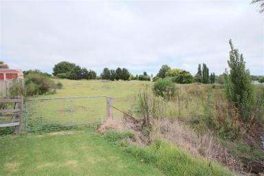 Farm Sold - NSW - Tenterfield - 2372 - Four Titles in Town.....  (Image 2)