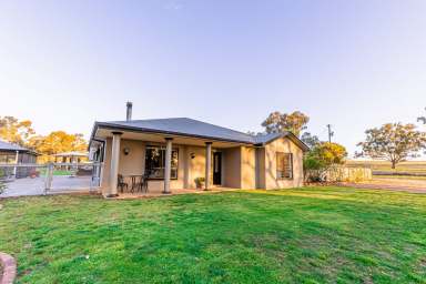 Farm Sold - NSW - Dubbo - 2830 - Hidden Oasis  (Image 2)