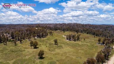 Farm Sold - NSW - Torrington - 2371 - Lifestyle Getaway  (Image 2)