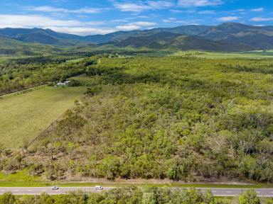 Farm For Sale - QLD - Mutarnee - 4816 - Yes please, 471 Acres  (Image 2)