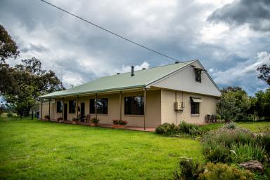 Farm Sold - NSW - Rylstone - 2849 - COOYONG  (Image 2)