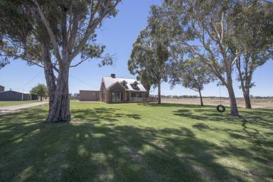 Farm Sold - VIC - Tyntynder - 3586 - Give me a Home - "Winterfold"  (Image 2)