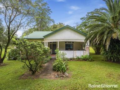 Farm Sold - NSW - Coramba - 2450 - HISTORIC RIVER COTTAGE ON THE BANKS OF THE ORARA  (Image 2)