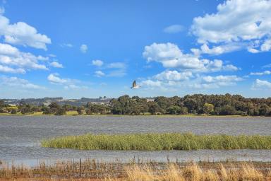 Farm Sold - VIC - Colac West - 3250 - Rare Lake Colac Frontage Land  (Image 2)