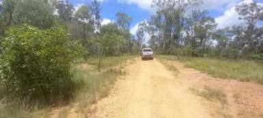 Farm Sold - QLD - Good Night - 4671 - 67 Camp Paddock Road Good Night QLD 4671  (Image 2)