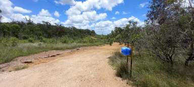 Farm Sold - QLD - Good Night - 4671 - 67 Camp Paddock Road Good Night QLD 4671  (Image 2)