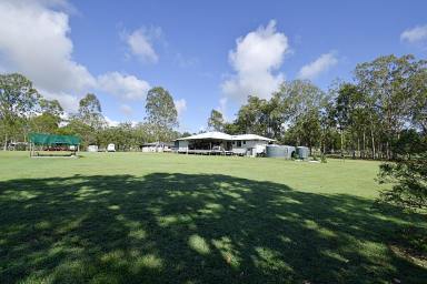 Farm Sold - QLD - Miriam Vale - 4677 - RURAL LIVING AT IT'S BEST!  (Image 2)