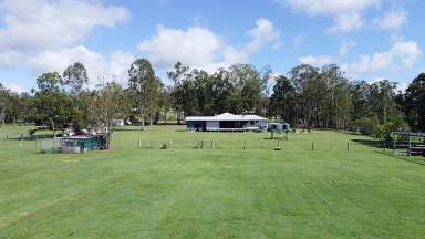 Farm Sold - QLD - Miriam Vale - 4677 - RURAL LIVING AT IT'S BEST!  (Image 2)