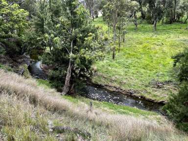 Farm Sold - NSW - Willow Tree - 2339 - Creek Frontage with Building Entitlement  (Image 2)