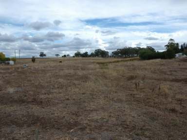 Farm Sold - NSW - Quirindi - 2343 - LARGE RESIDENTIAL LOTS WITH DUAL ACCESS  (Image 2)