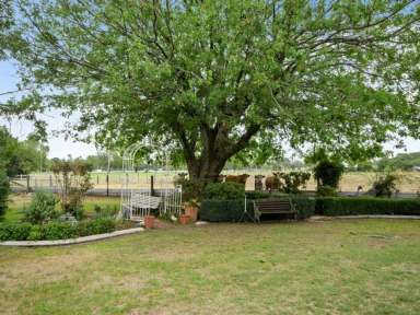 Farm Sold - NSW - Quirindi - 2343 - UNIQUE HOMESTEAD ON IRRIGATED ACRES IN QUIRINDI  (Image 2)