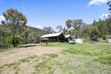 Farm Sold - NSW - Quipolly - 2343 - 36ha BUSH BLOCK with house, bore and WATER VIEWS.  (Image 2)