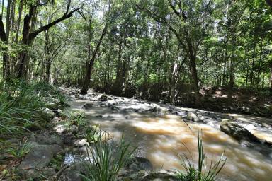 Farm Sold - QLD - Eudlo - 4554 - THE PEARL OF DIAMOND VALLEY......YOUR OWN NATIONAL PARK  (Image 2)