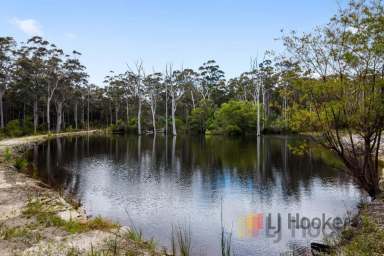 Farm Sold - WA - Northcliffe - 6262 - Off Grid Lifestyle  (Image 2)