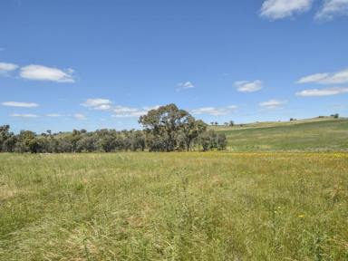Farm Sold - NSW - Young - 2594 - 58acs* With Stunning Views In Every Direction  (Image 2)