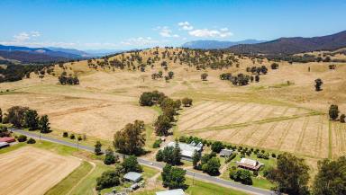 Farm Sold - VIC - Whorouly East - 3735 - Intensive Farming or Lifestyle Property  (Image 2)
