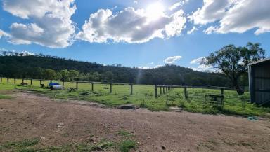 Farm Sold - QLD - Oakey Creek - 4714 - Looking for Acreage? Here it is.  (Image 2)