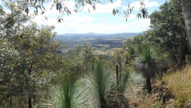 Farm Sold - NSW - Tabulam - 2469 - Lifestyle Close to Tabulam  (Image 2)