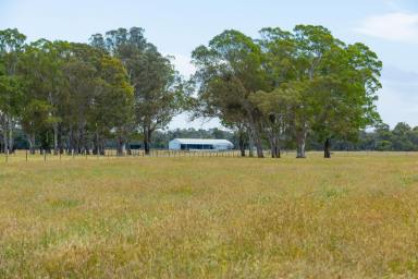 Farm Sold - VIC - Powers Creek - 3312 - Outstanding Opportunity - Standalone Sheep Block  (Image 2)