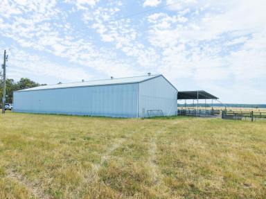 Farm Sold - VIC - Powers Creek - 3312 - Outstanding Opportunity - Standalone Sheep Block  (Image 2)