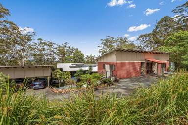 Farm Sold - QLD - Ocean View - 4521 - Architectural Treetop Home With Self Contained Studio  (Image 2)