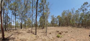 Farm Sold - QLD - Wattle Camp - 4615 - CREATE YOUR OWN SPECIAL PLACE  (Image 2)