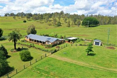 Farm Sold - NSW - Kyogle - 2474 - STARLITE LODGE  (Image 2)
