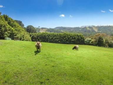 Farm Sold - VIC - Toora North - 3962 - All Aboard to your lifestyle getaway !!!  (Image 2)