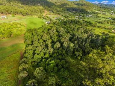Farm For Sale - QLD - Beecher - 4680 - SHARING WITH NATURE  (Image 2)