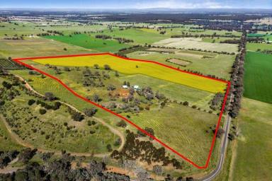 Farm For Sale - VIC - Toolleen - 3551 - BARNADOWN RUN – 36.04 HECTARES (Approx. 90 Acres) OF CAMBRIAN SOIL  (Image 2)