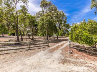 Farm Sold - WA - Lake Clifton - 6215 - Peace & quiet Lifestyle awaits it's new owners  (Image 2)